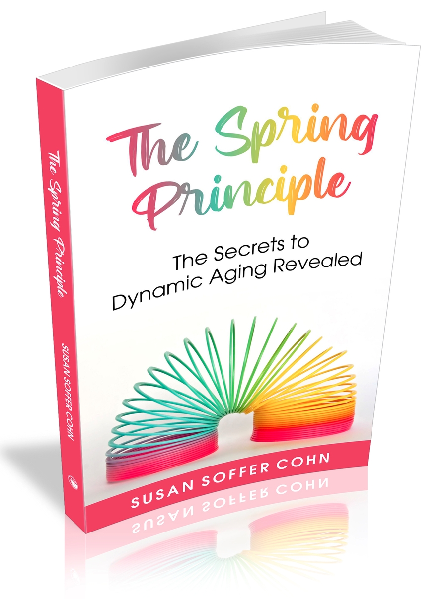 The Spring Principle by Susan Cohn